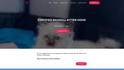 Screenshot of