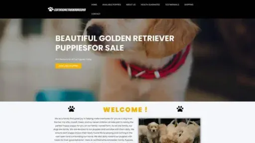 Screenshot of
