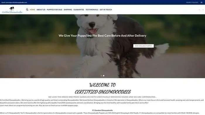 Screenshot of