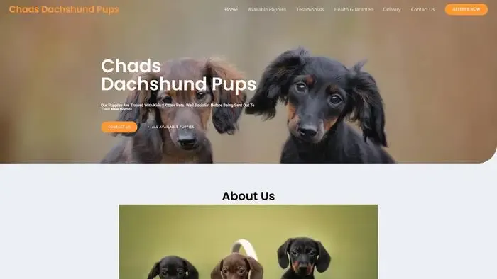 Screenshot of