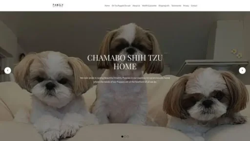 Screenshot of