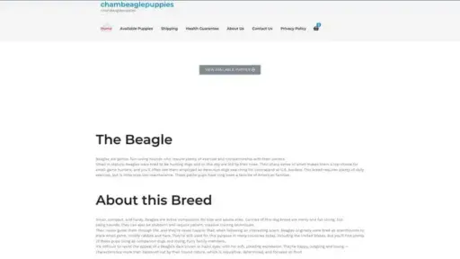 Screenshot of