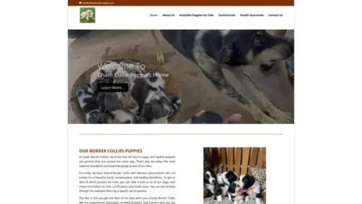 Screenshot of