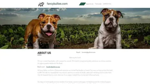 Screenshot of