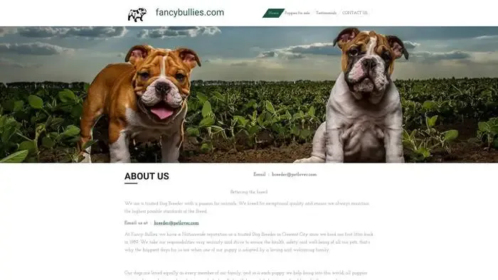 Screenshot of