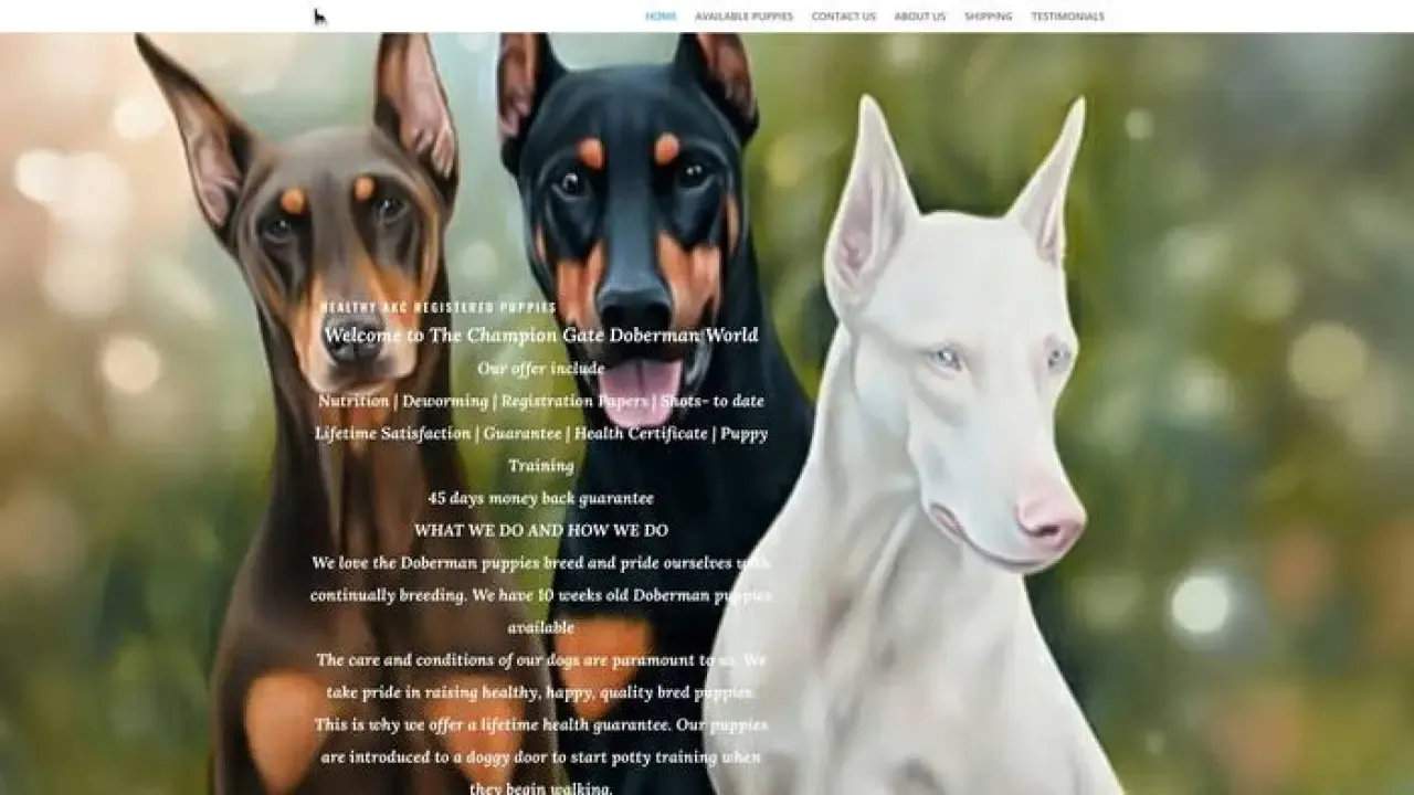 Screenshot of||