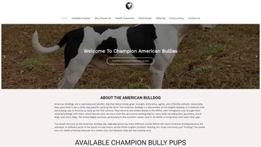 Screenshot of