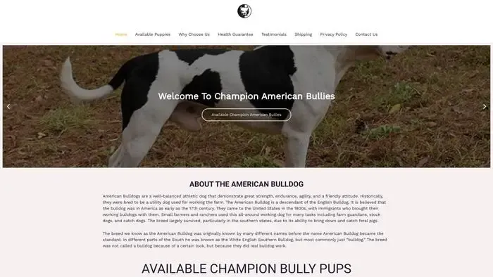 Screenshot of