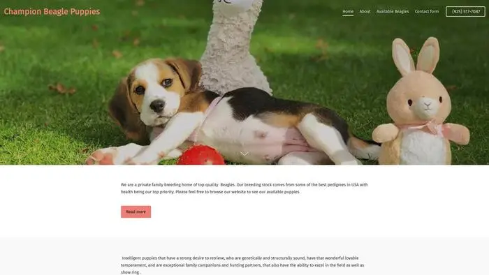 Screenshot of