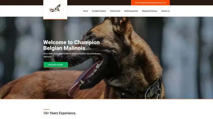 Screenshot of