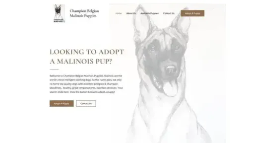 Screenshot of