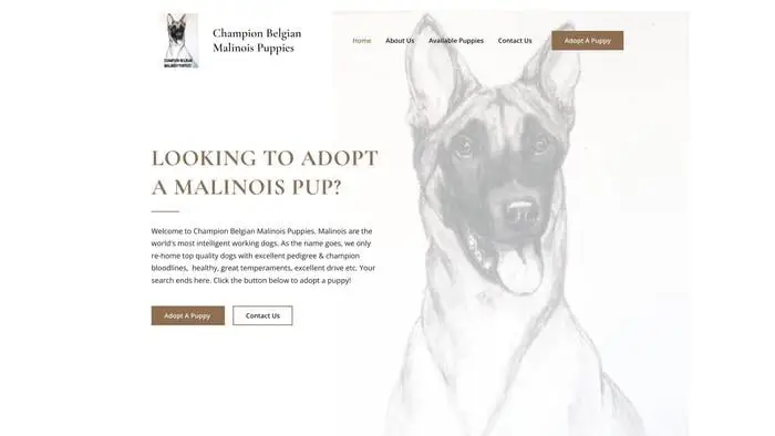 Screenshot of