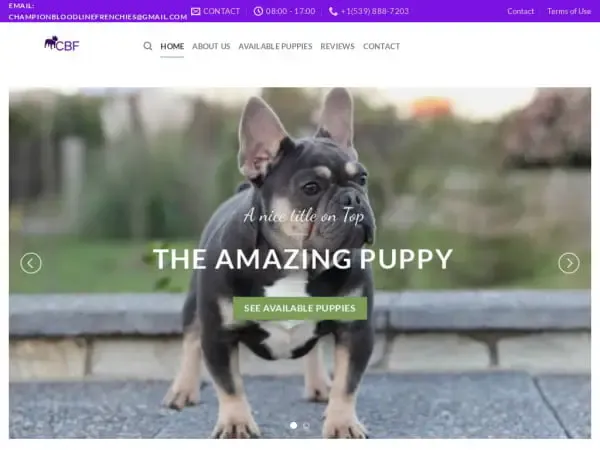 Screenshot of