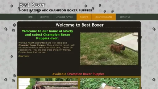 Screenshot of