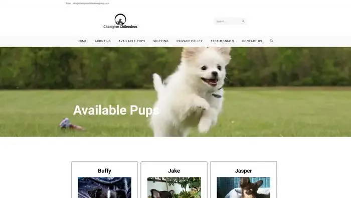 Screenshot of