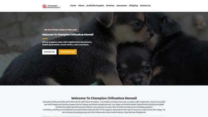 Screenshot of