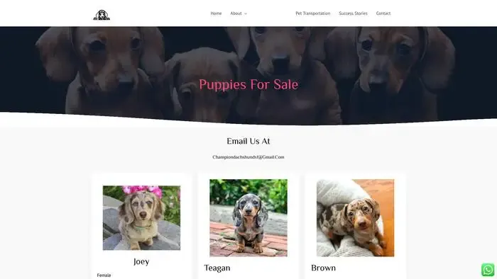 Screenshot of