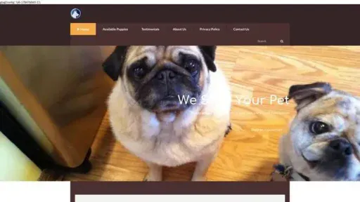 Screenshot of