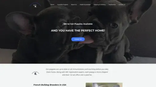Screenshot of