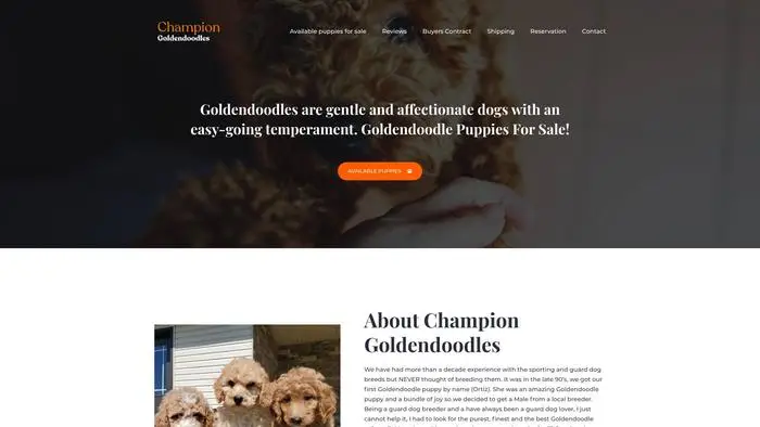 Screenshot of