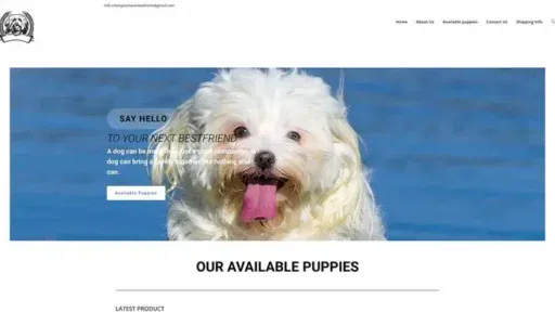 Screenshot of