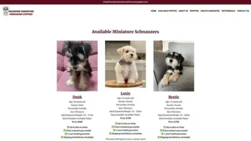Screenshot of