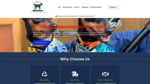 Screenshot of