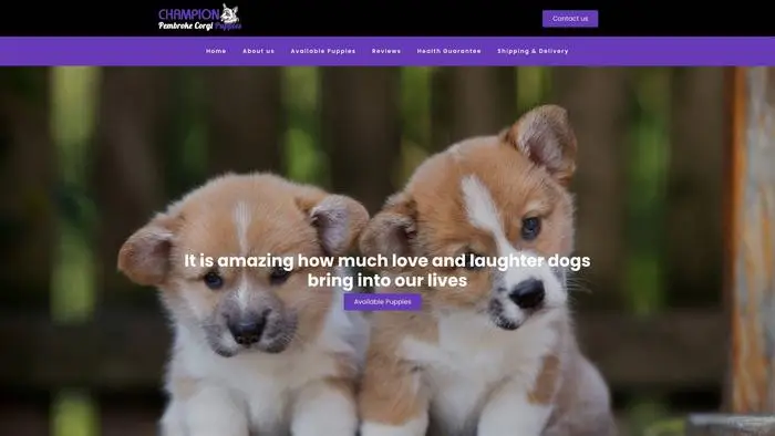 Screenshot of