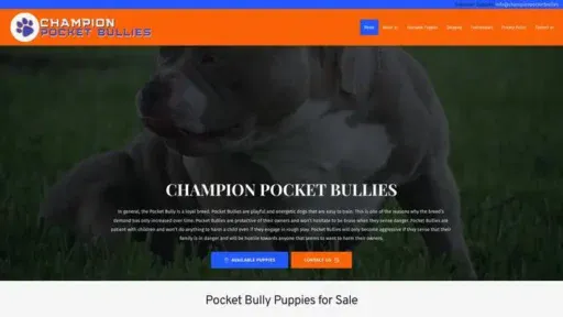 Screenshot of
