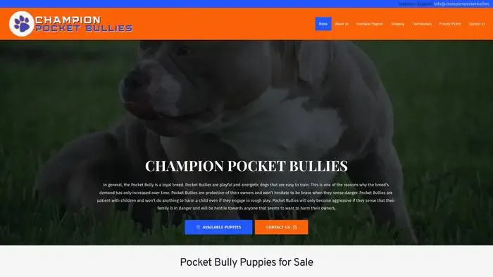 Screenshot of