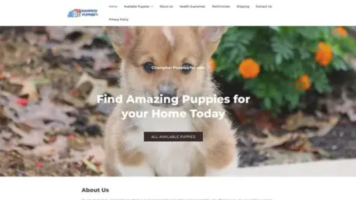 Screenshot of