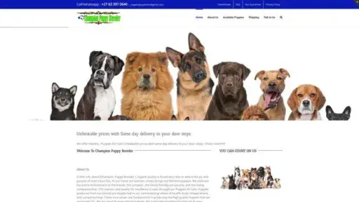 Screenshot of