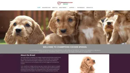 Screenshot of