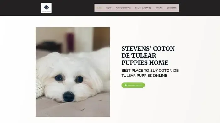 Screenshot of