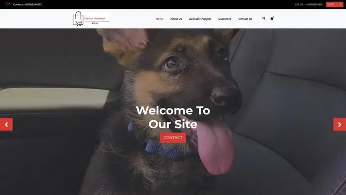 Screenshot of