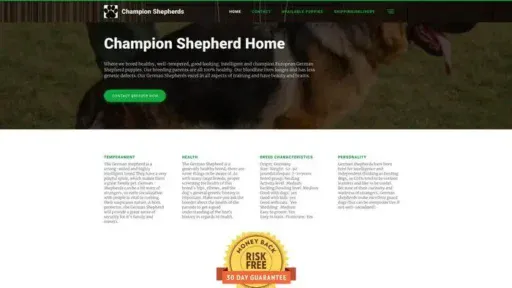 Screenshot of
