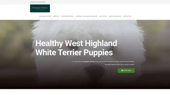 Screenshot of
