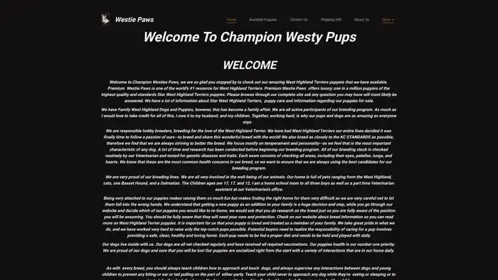 Screenshot of