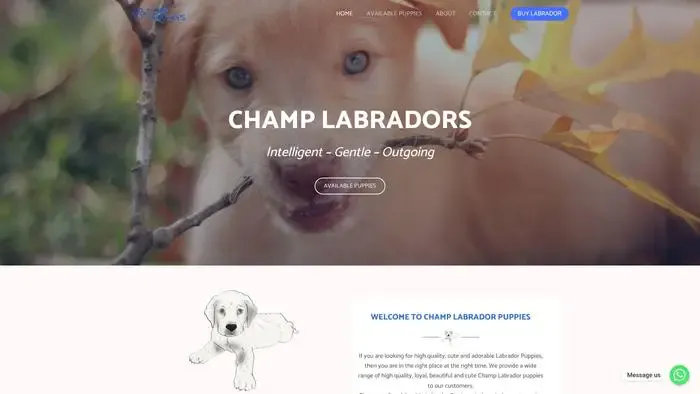Screenshot of
