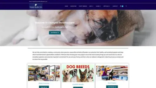 Screenshot of
