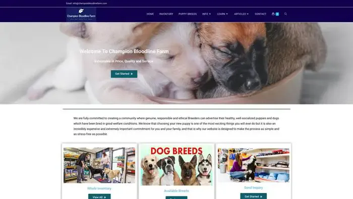 Screenshot of