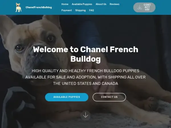 Screenshot of