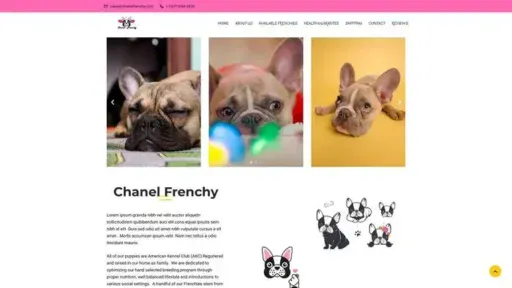 Screenshot of