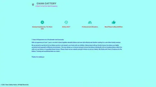 Screenshot of