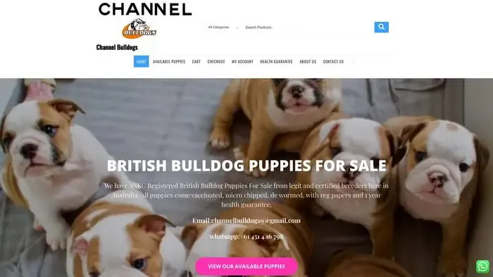 Screenshot of
