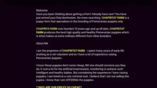 Screenshot of