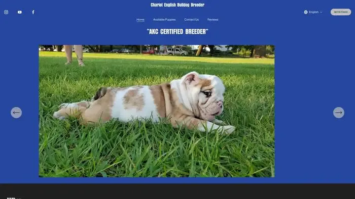 Screenshot of