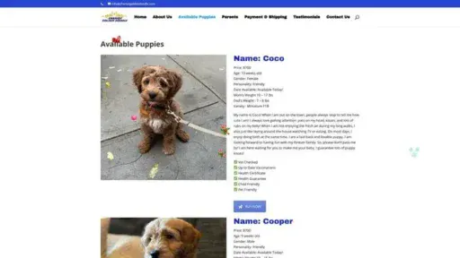 Screenshot of