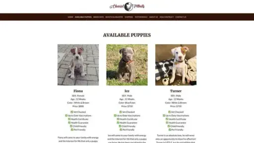 Screenshot of