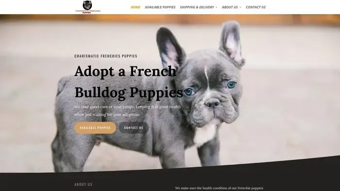 Screenshot of